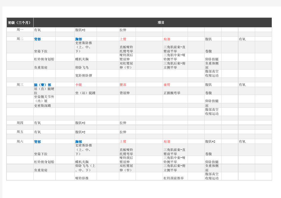 个人适合初级健身训练计划Excel表