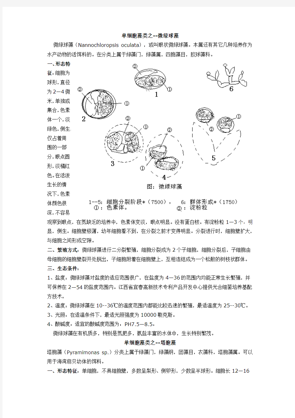 单细胞藻类