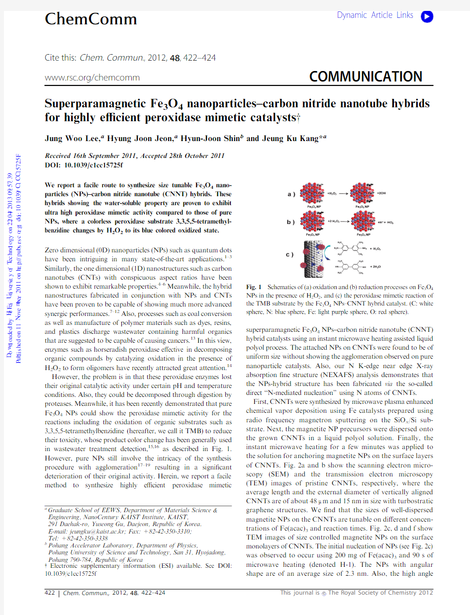 Superparamagnetic Fe3O4 nanoparticles–carbon nitride