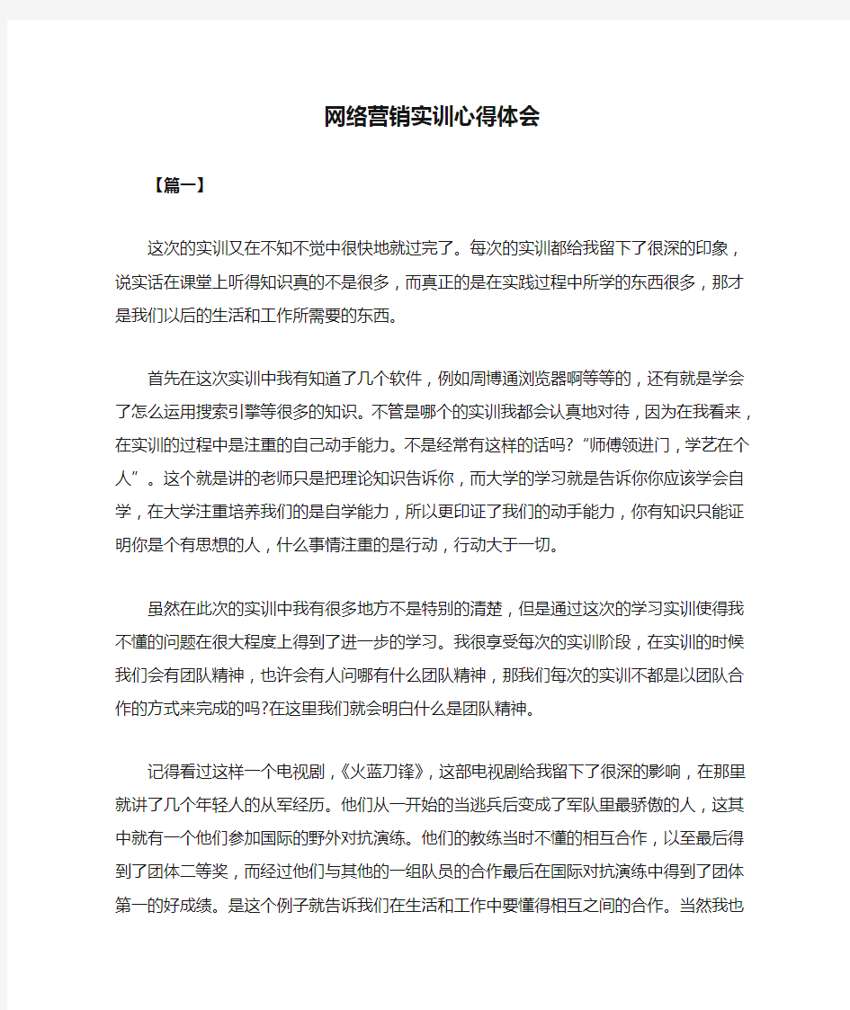 网络营销实训心得体会