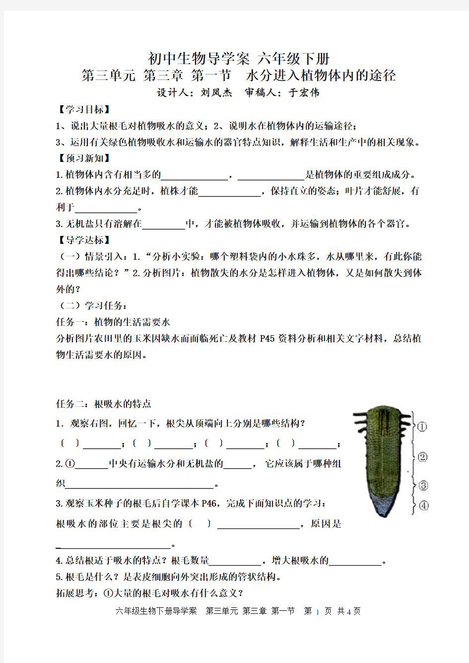 水分进入植物体内的运输途径