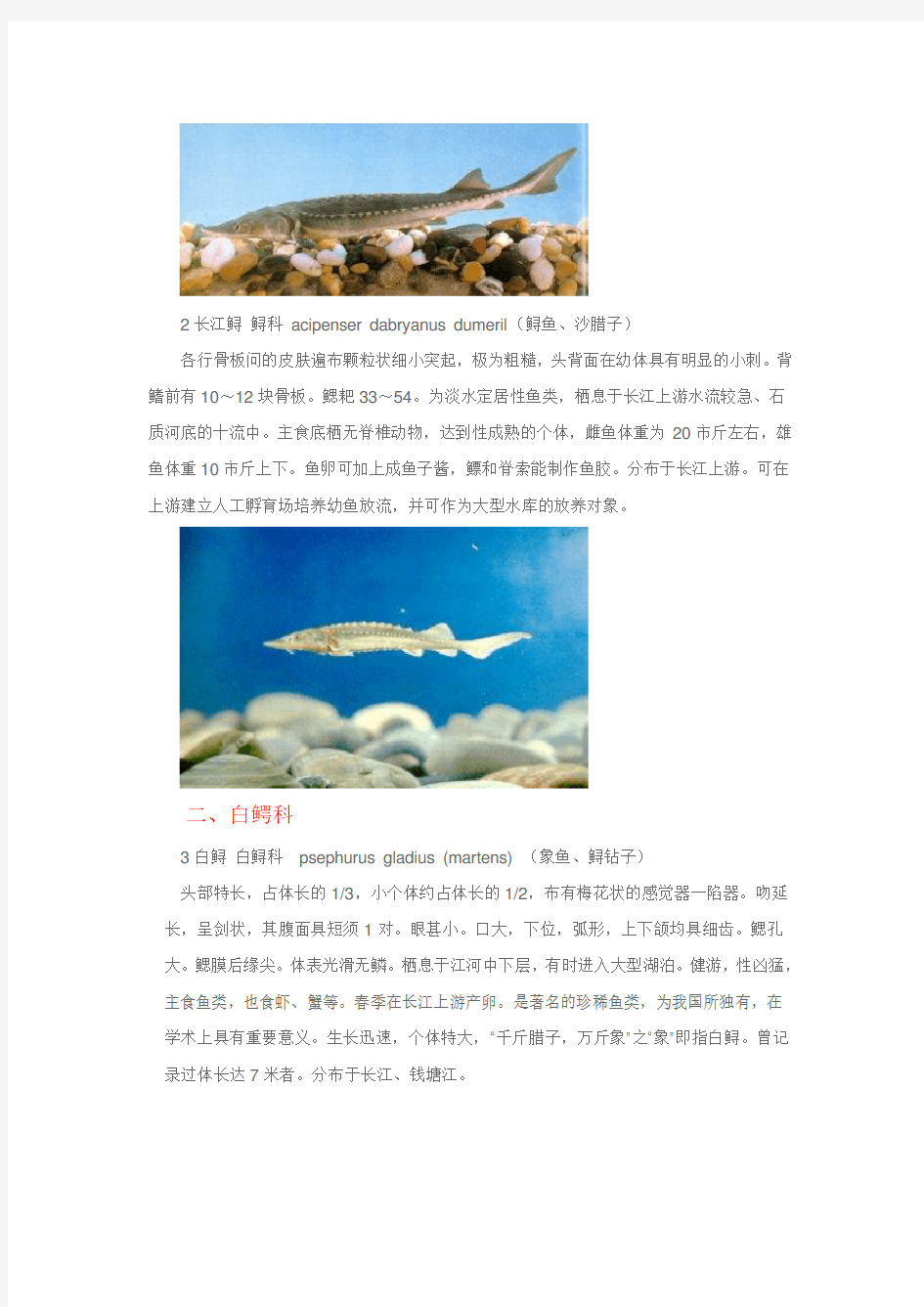 长江流域的鱼类图谱