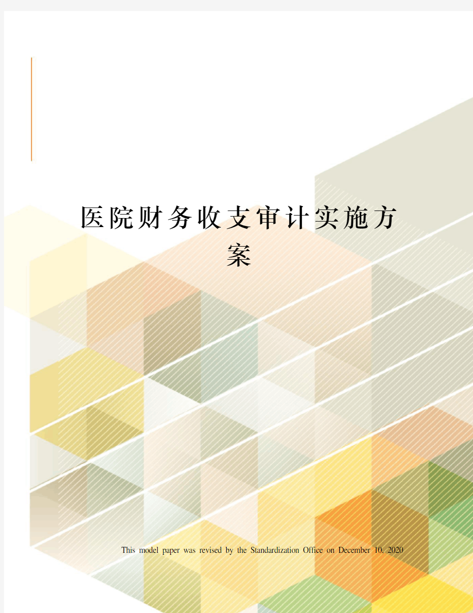 医院财务收支审计实施方案