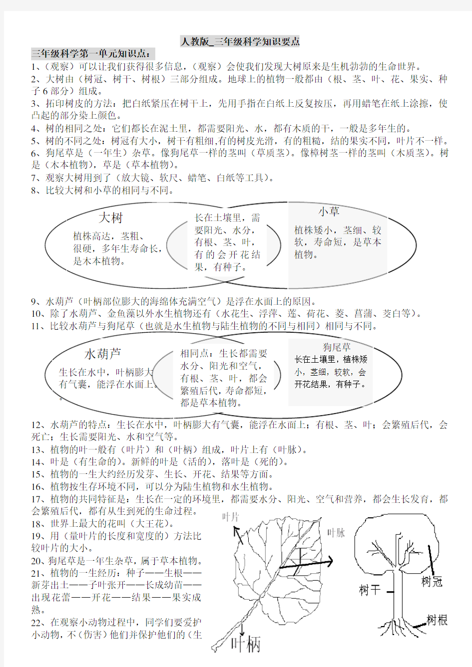 人教版三年级科学知识要点