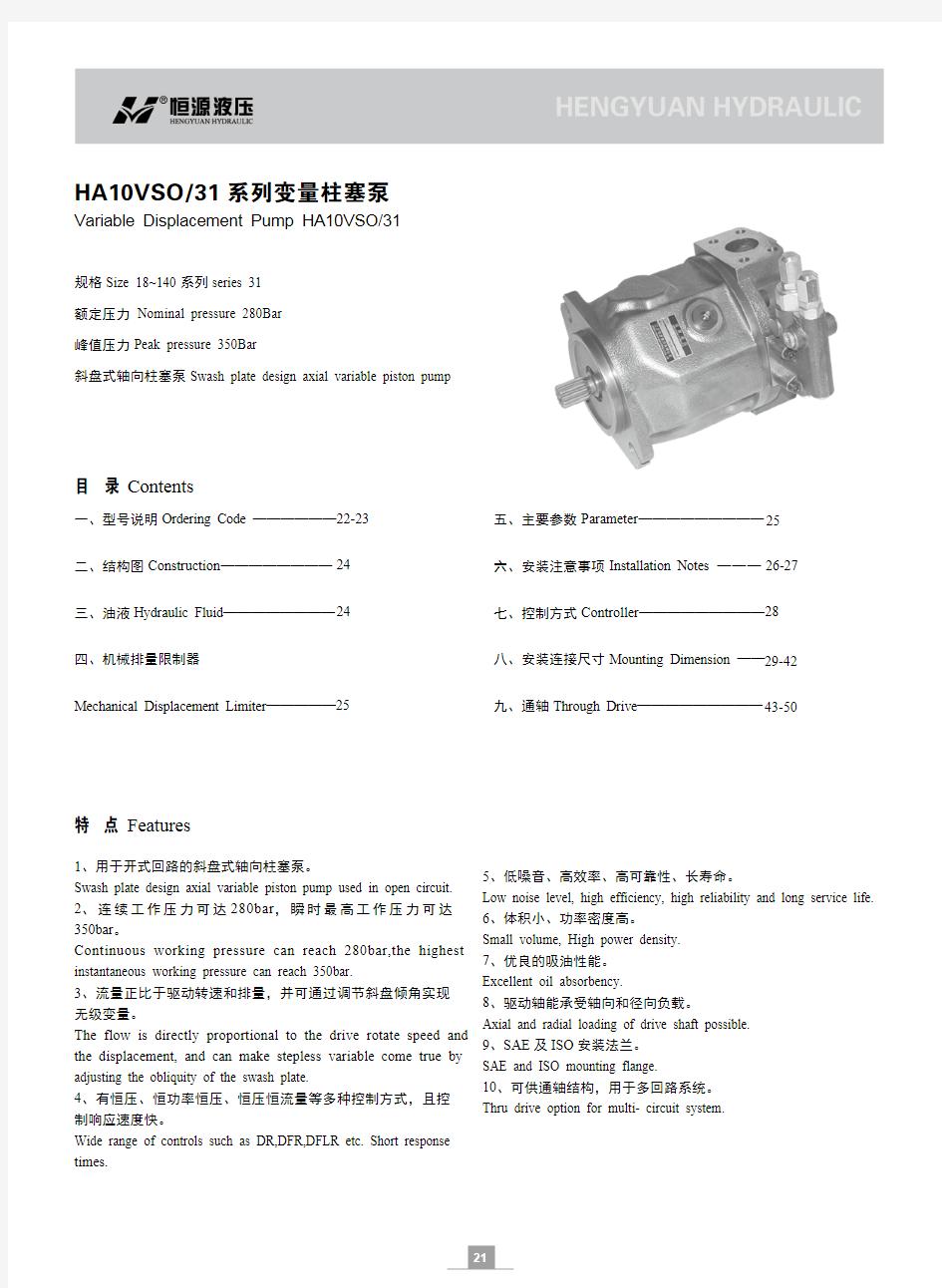 变量柱塞泵A10V