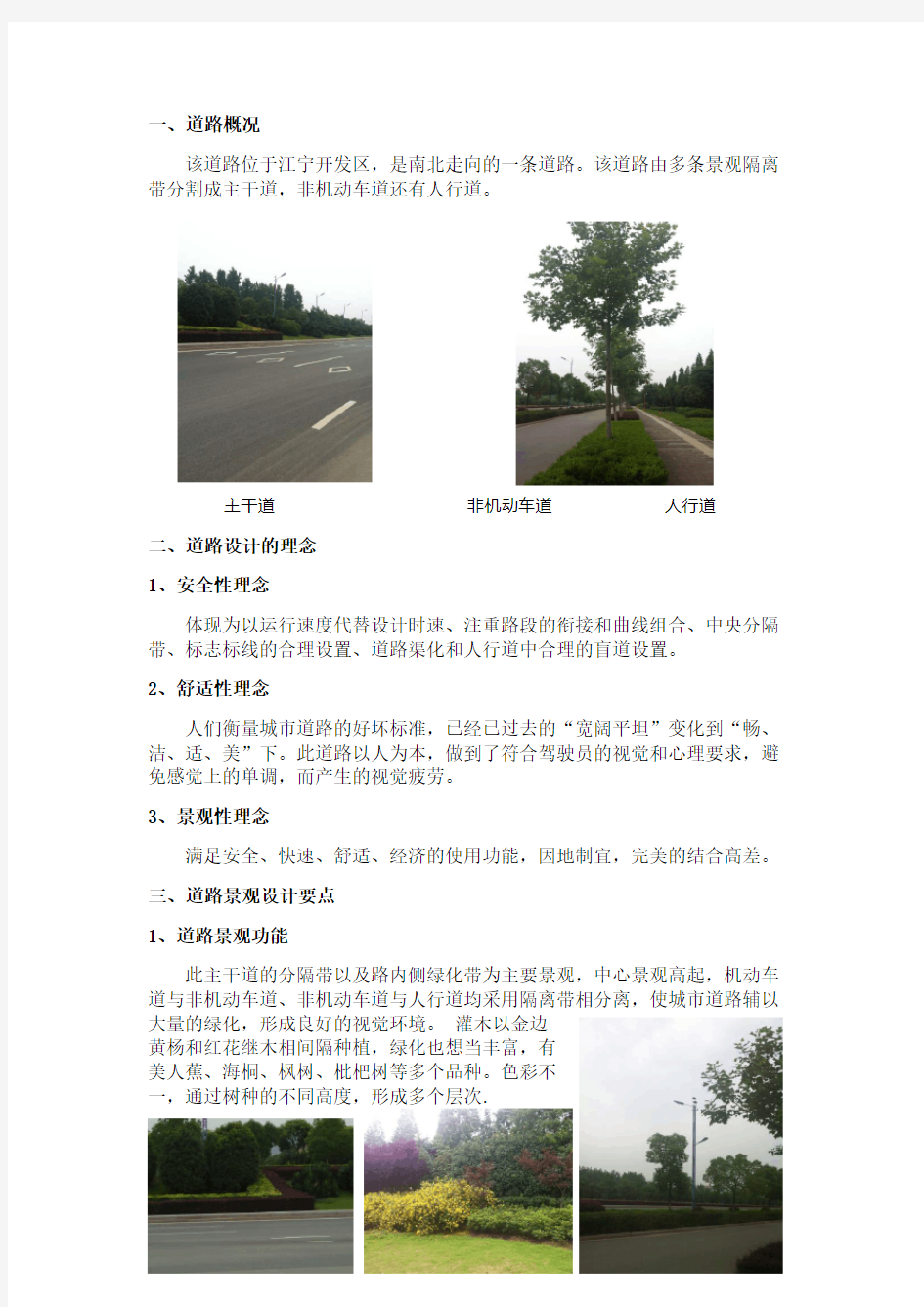 道路景观调研报告