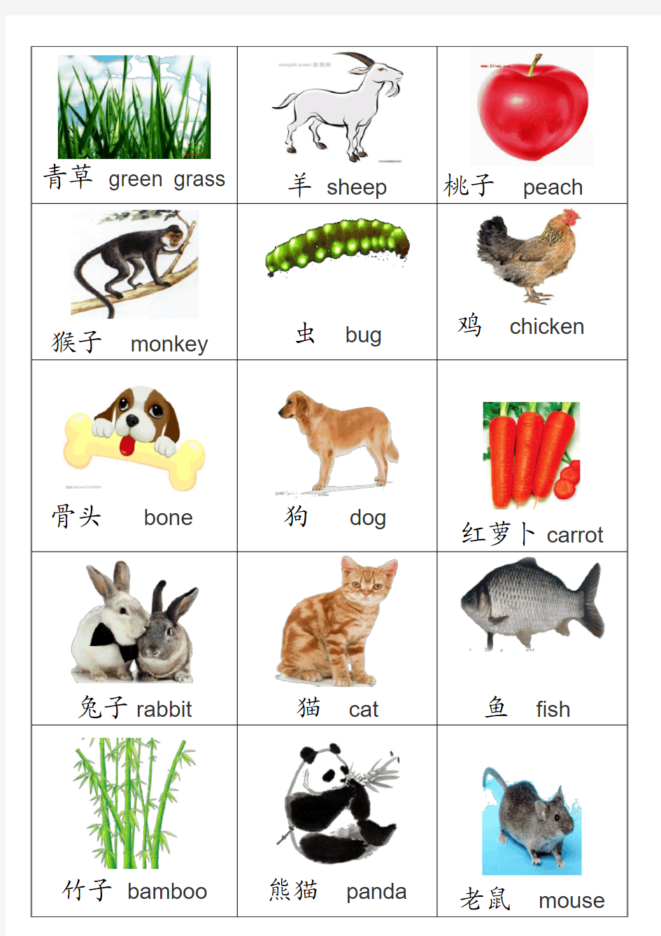 幼儿识字卡片配图一：动植物