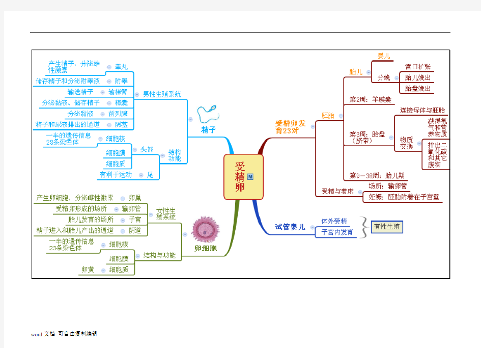 浙教版七年级科学下册思维导图(全册) (1)