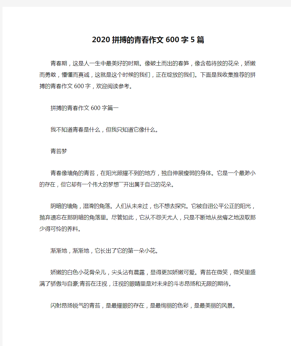 2020拼搏的青春作文600字5篇