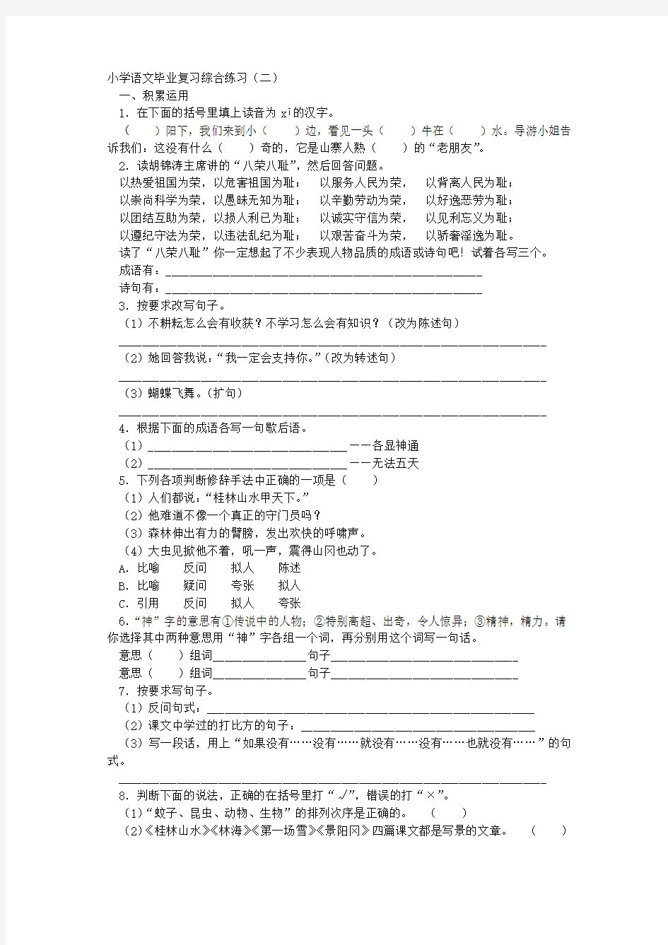 人教版六年级语文总复习小学语文毕业复习综合练习