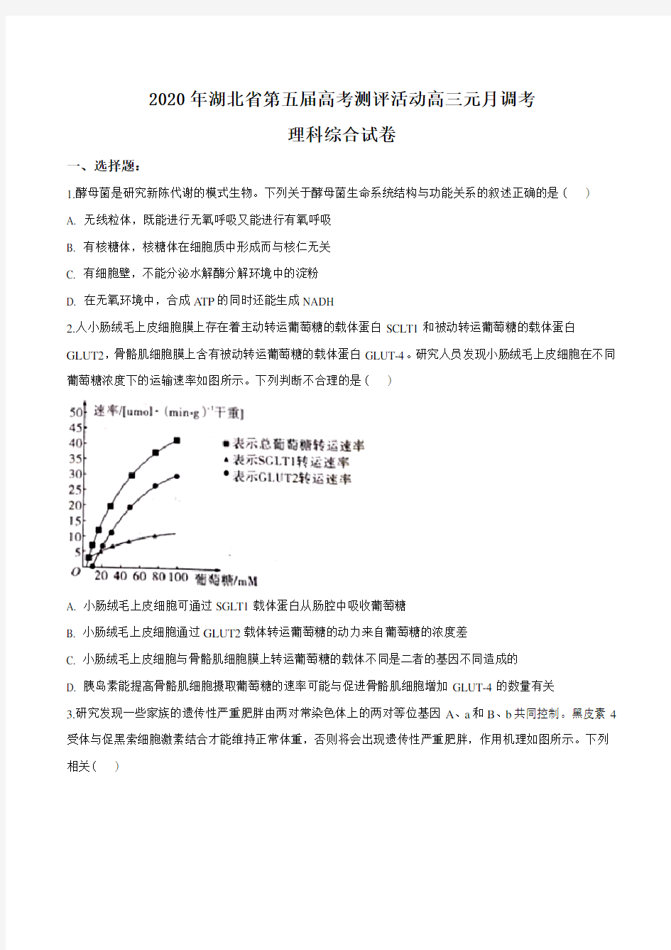 2020届湖北省高三上学期期末理综生物试题(原卷版)