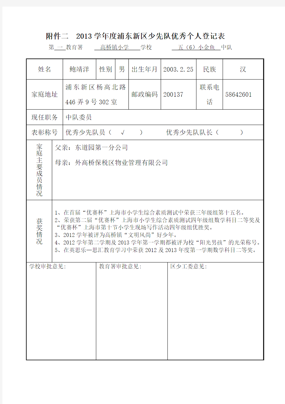 2013优秀少先队个人登记表