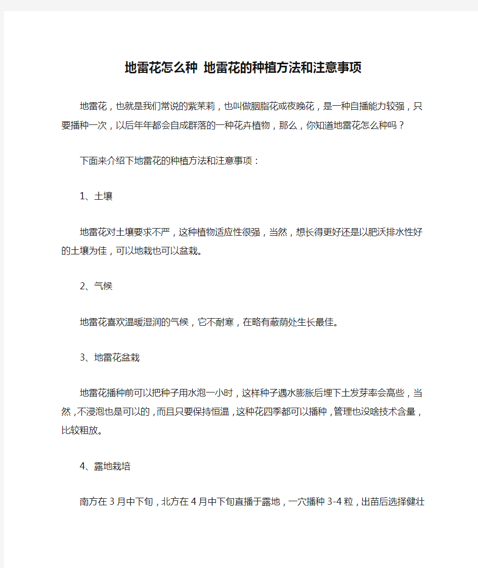 地雷花怎么种 地雷花的种植方法和注意事项