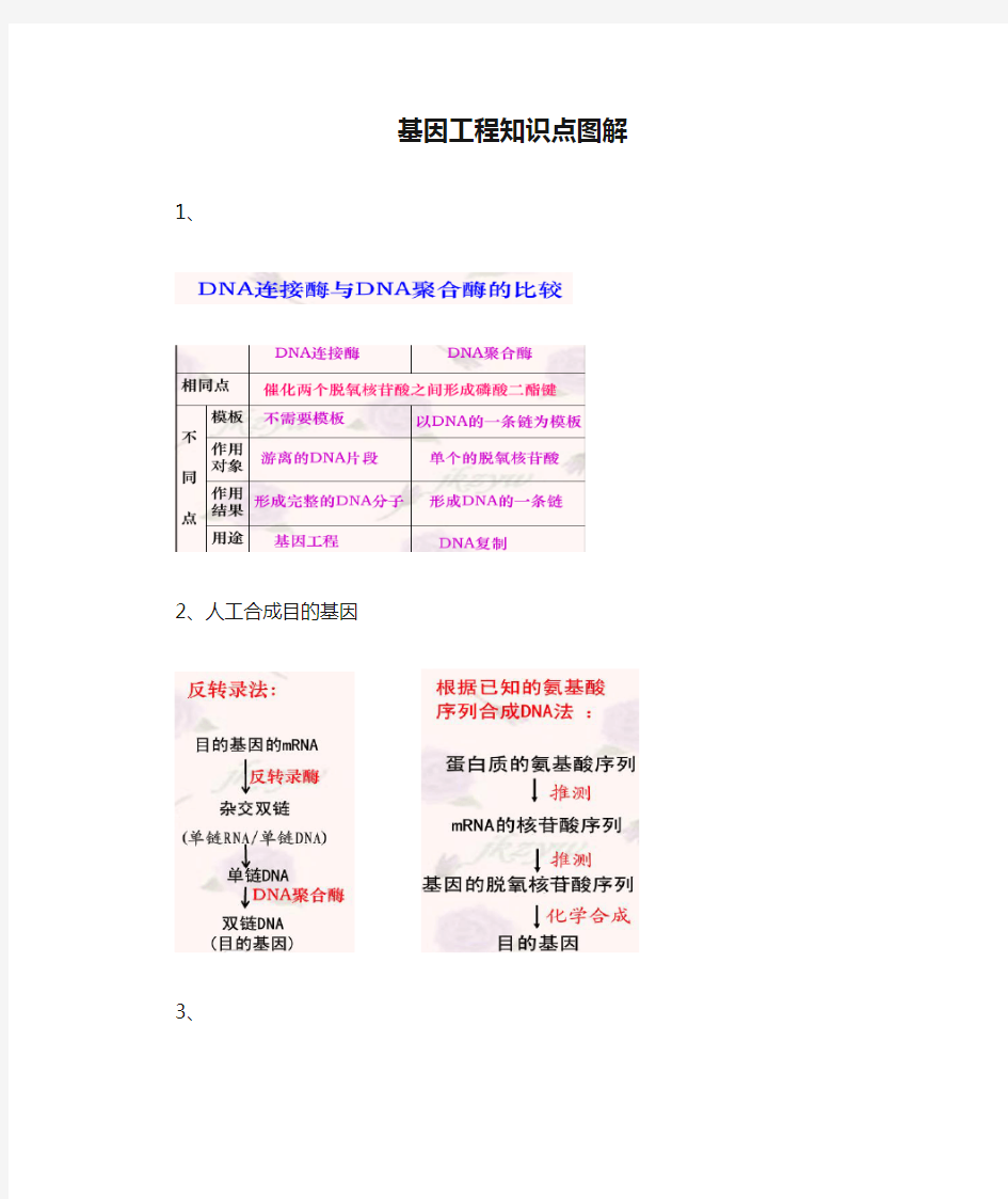 基因工程知识点图解