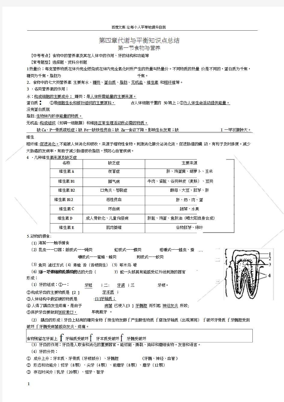 九年级科学上册第四章代谢与平衡知识点总结