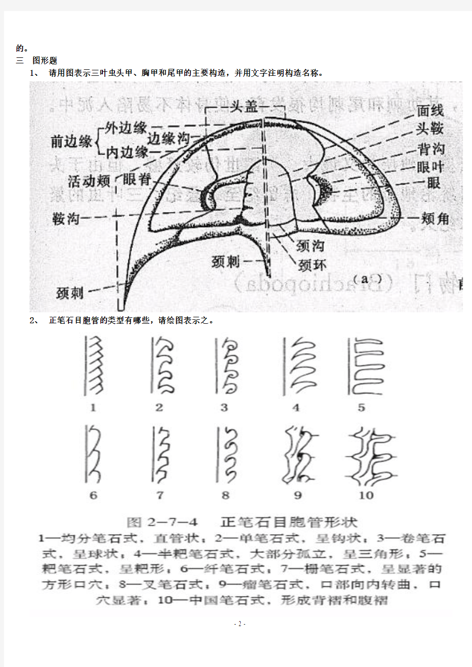 古生物地史学 复习题 考试重点