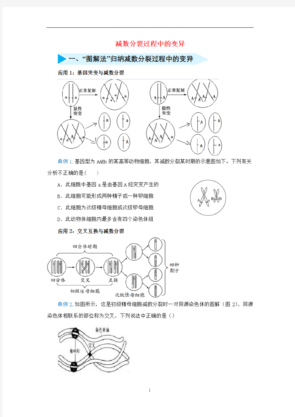 高三生物 精准培优专练十一 减数分裂过程中的变异(含解析)