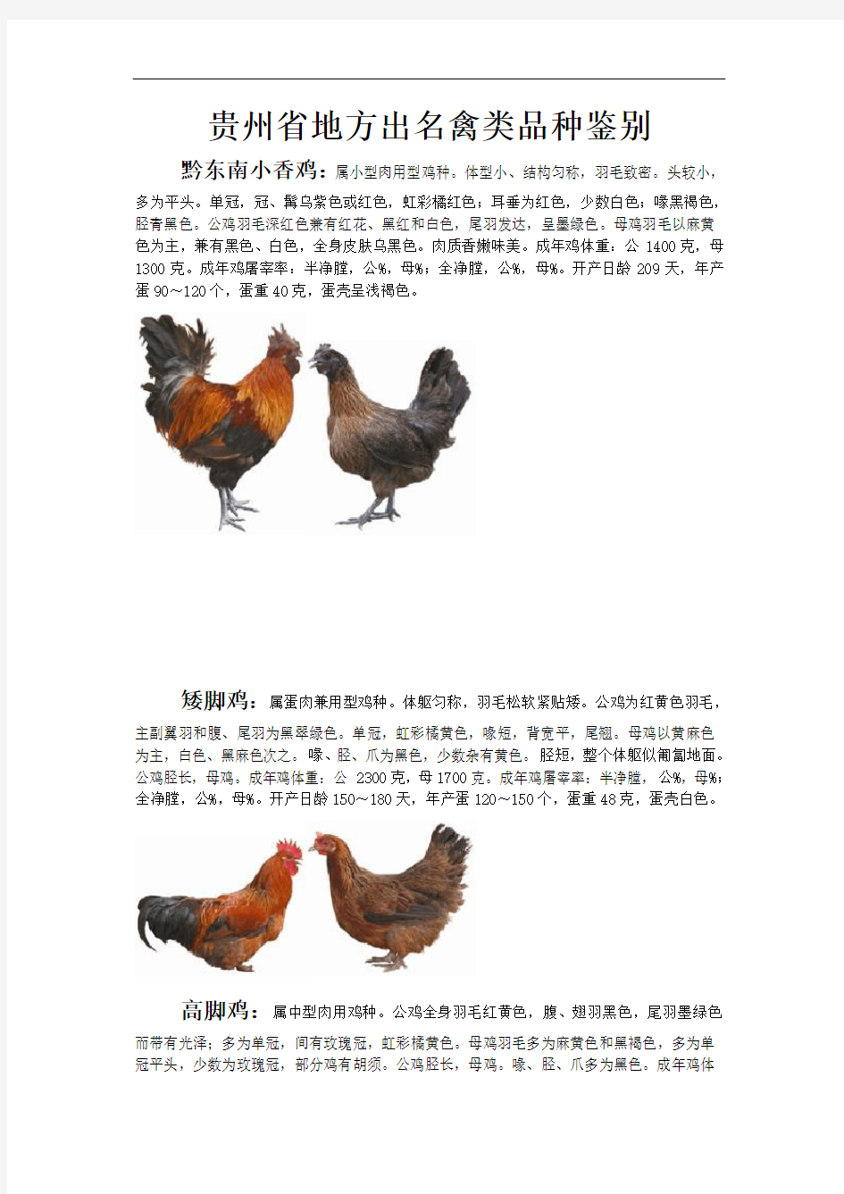 贵州省地方禽类品种以及简单介绍