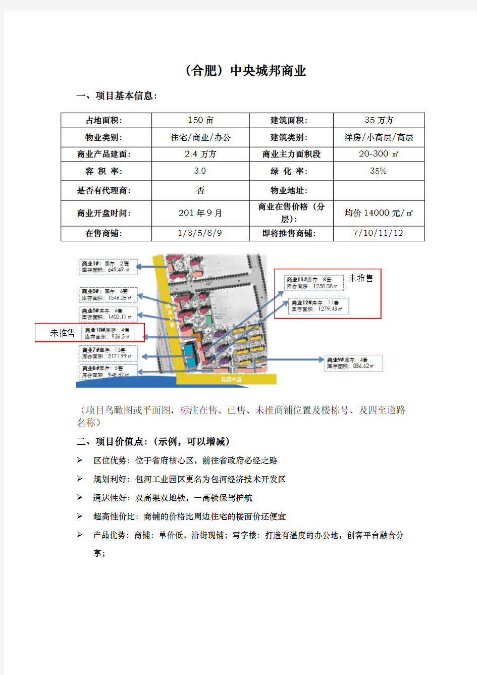 合肥中央城邦商业项目一页纸简介模板