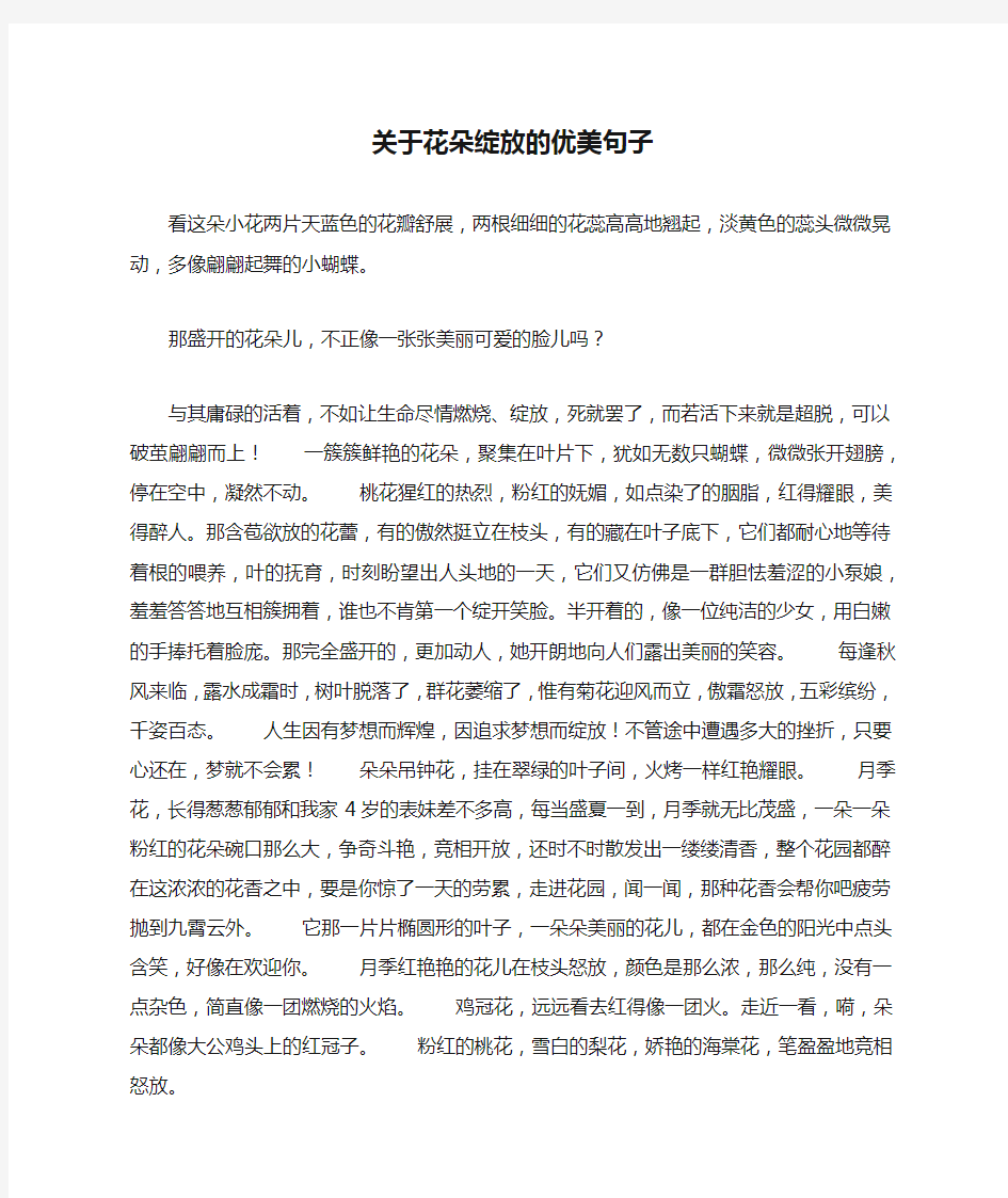 关于花朵绽放的优美句子