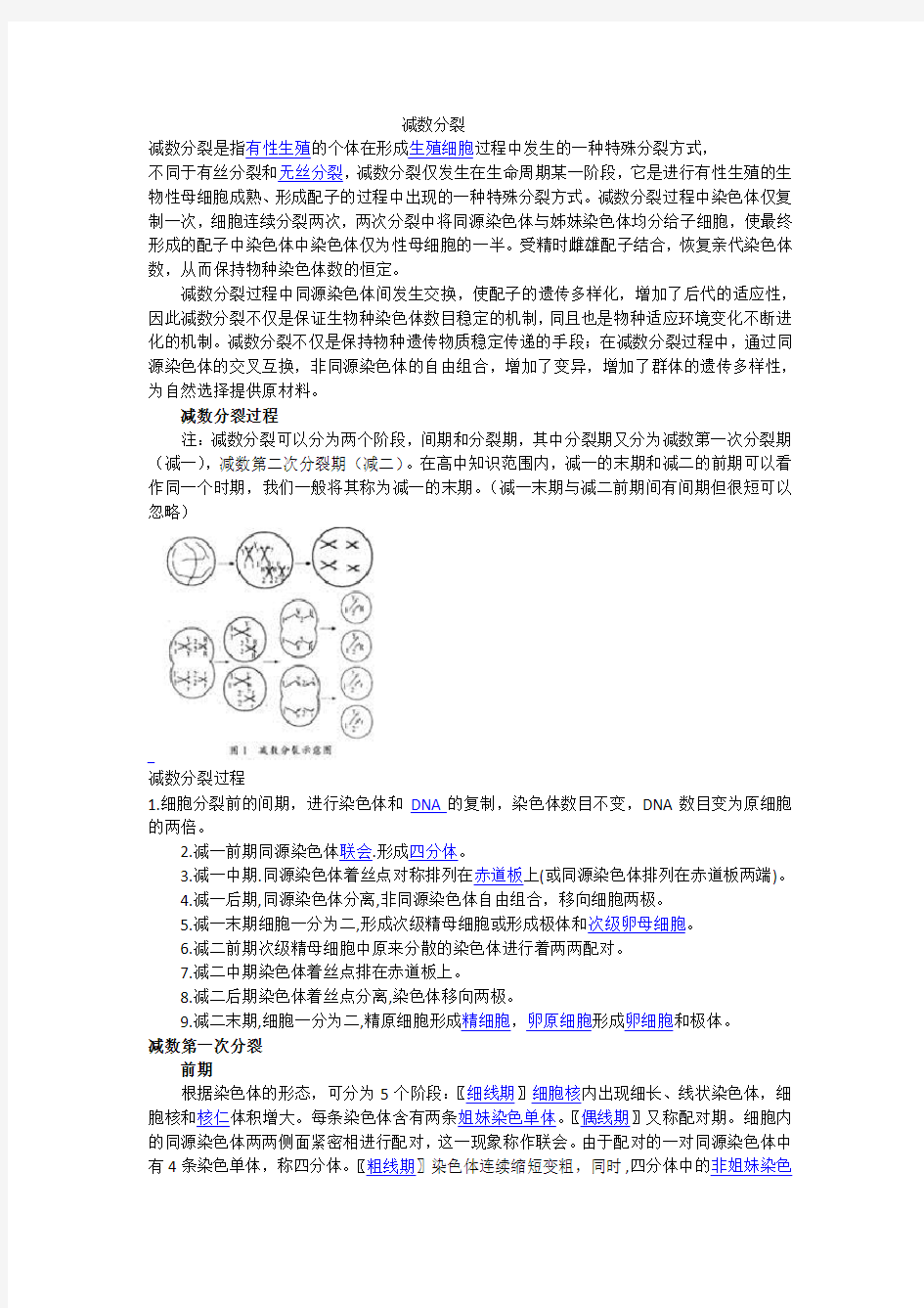 减数分裂    知识点讲解及例题解析