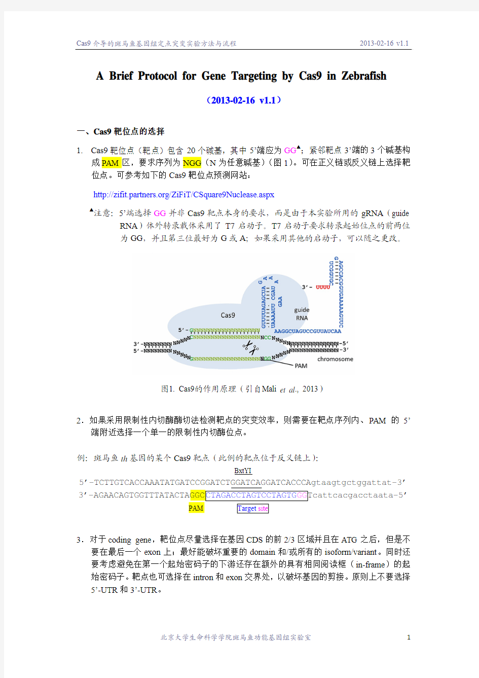 Cas9 protocol_v1.1_130216