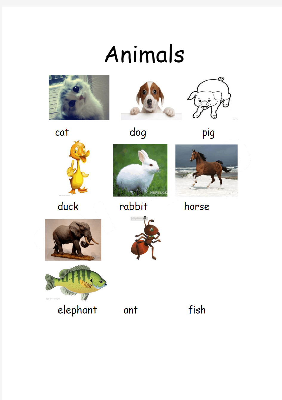 重点小学英语动物类单词大全(配图)
