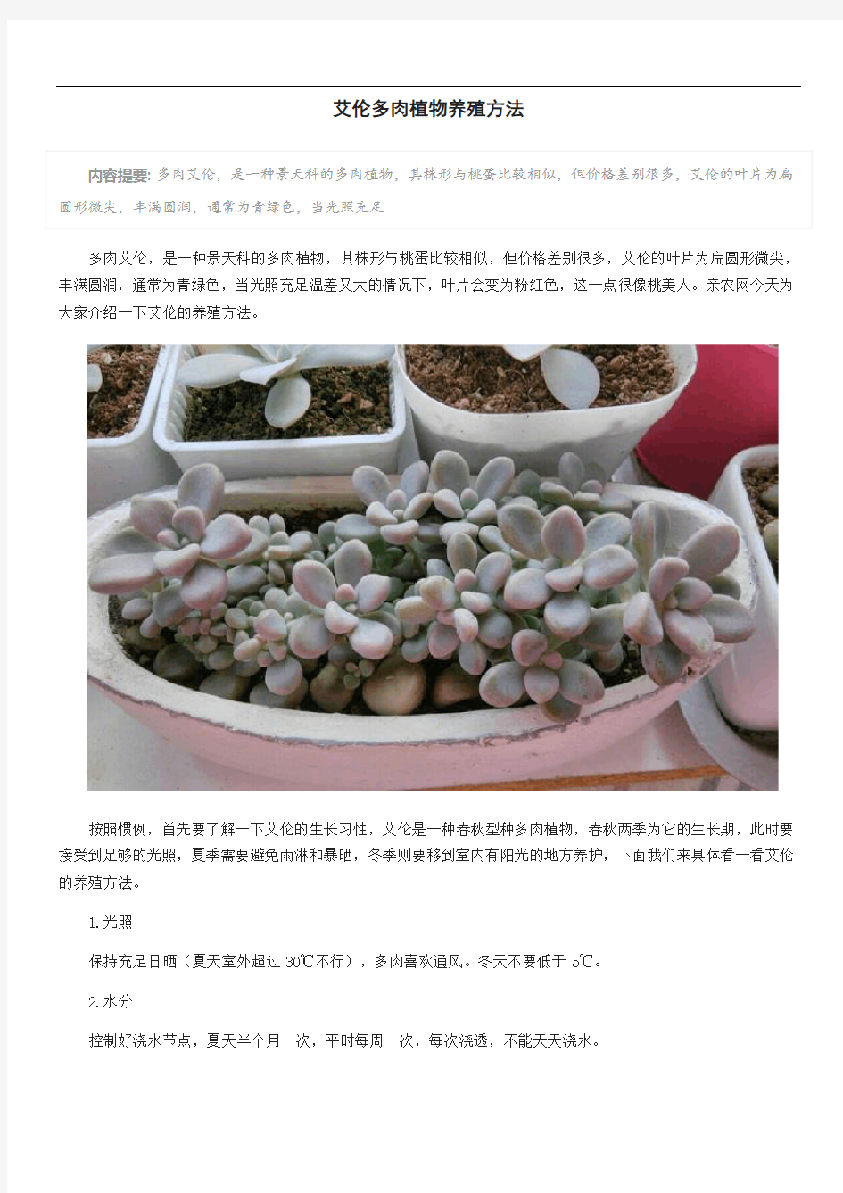 艾伦多肉植物养殖方法