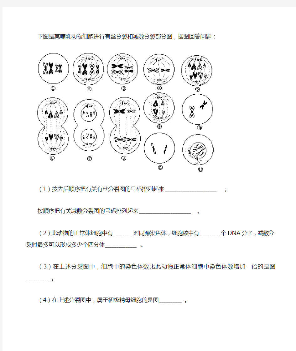 人教版高中生物必修二减数分裂练习