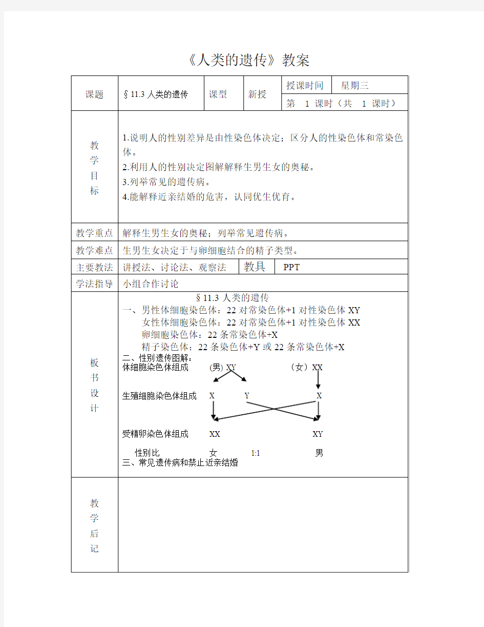 人类的遗传 教案