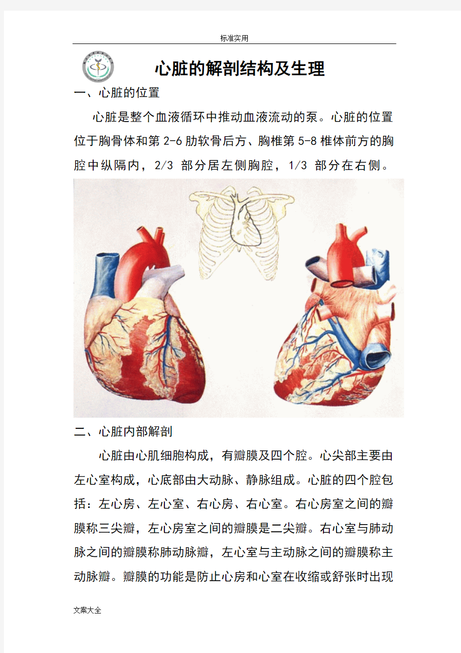 心脏地解剖结构及生理(含彩图)