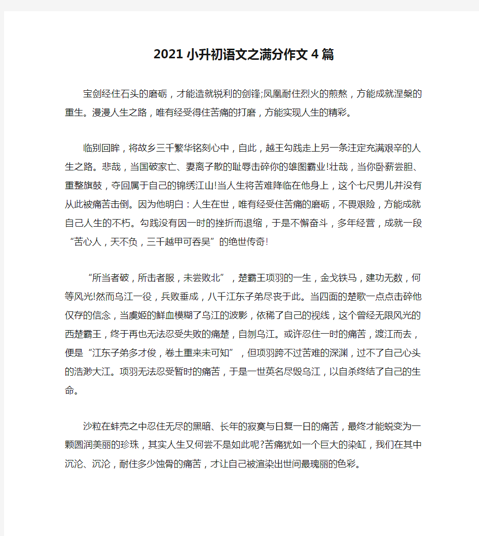 2021小升初语文之满分作文4篇