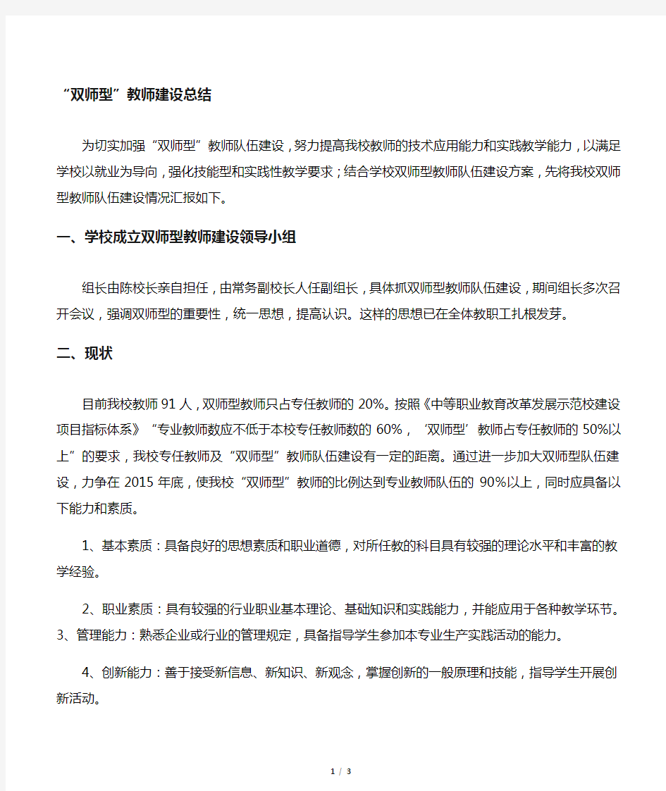 双师型教师队伍建设总结