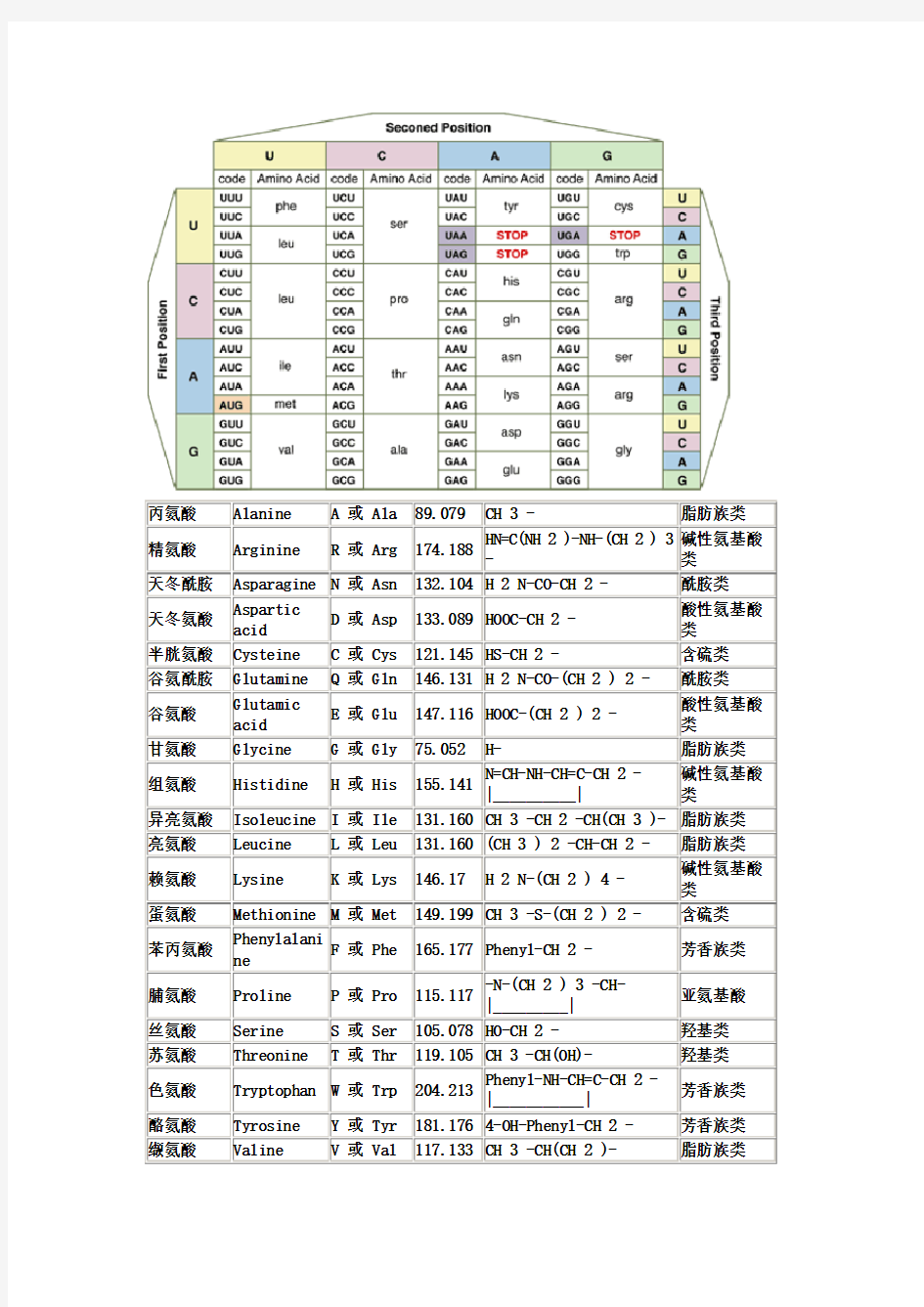 氨基酸密码子对照表