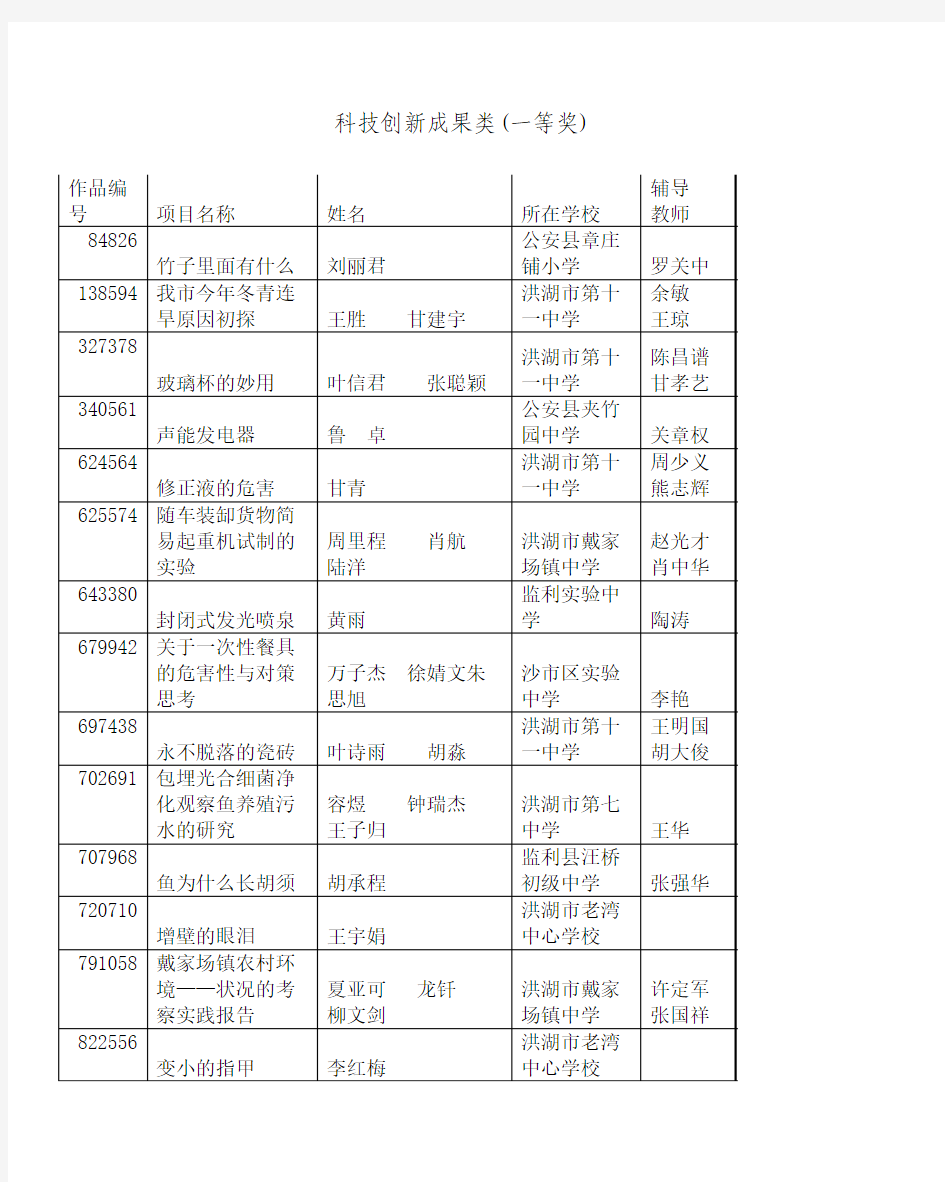 科技创新成果类(一等奖)