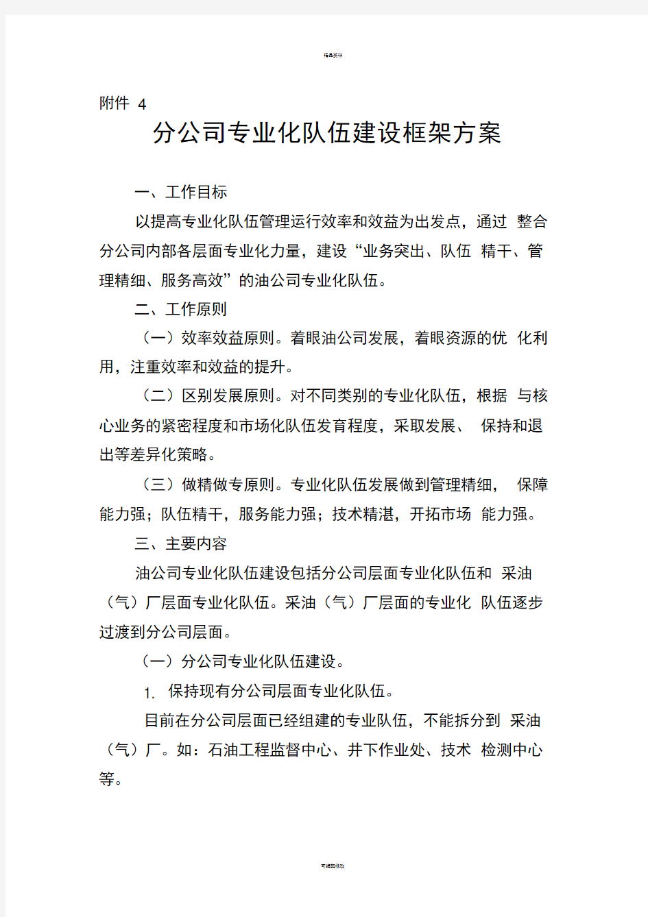 分公司专业化队伍建设框架方案