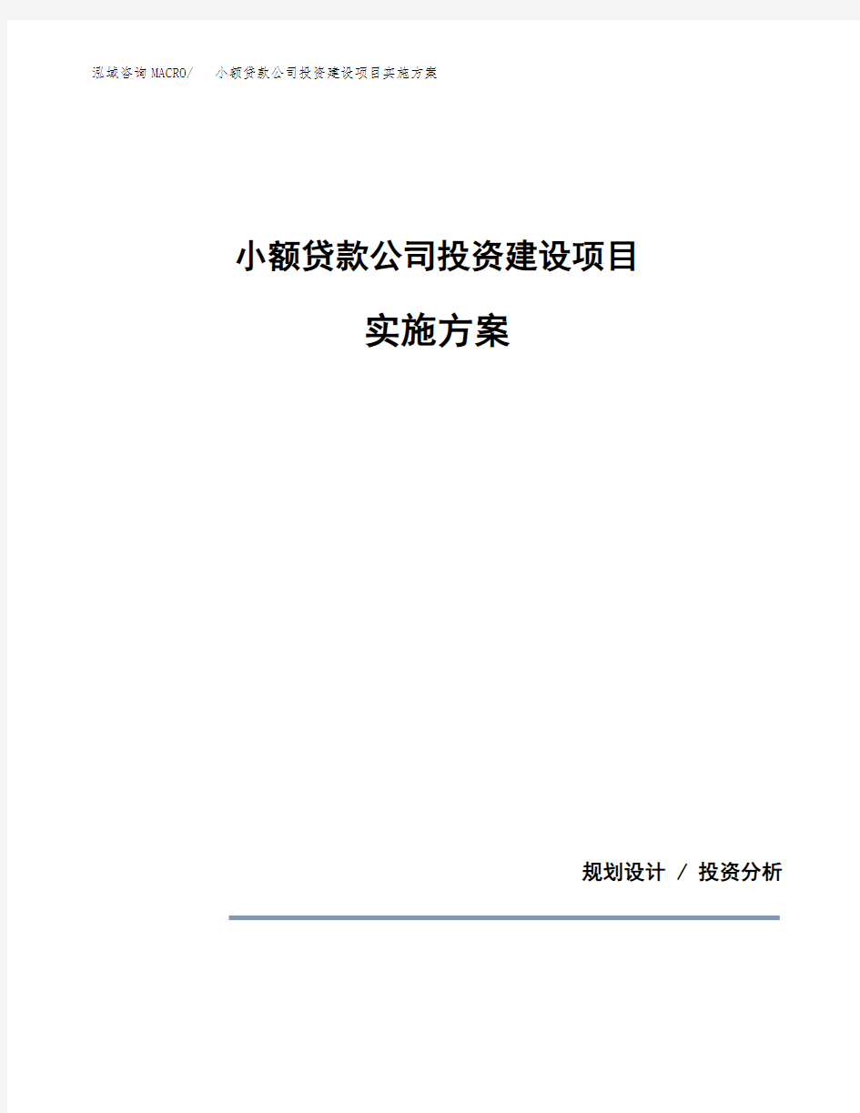 小额贷款公司投资建设项目实施方案(参考模板)