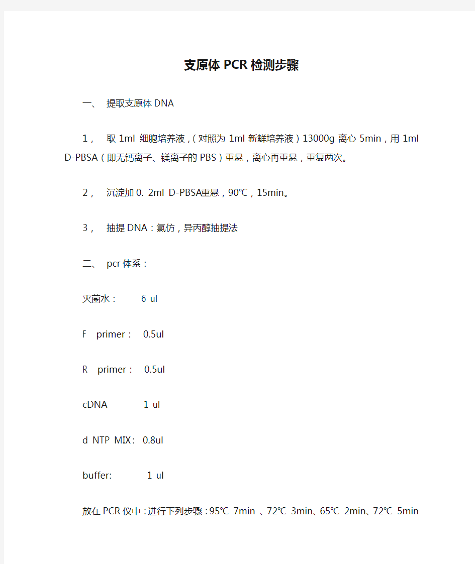 支原体PCR检测步骤