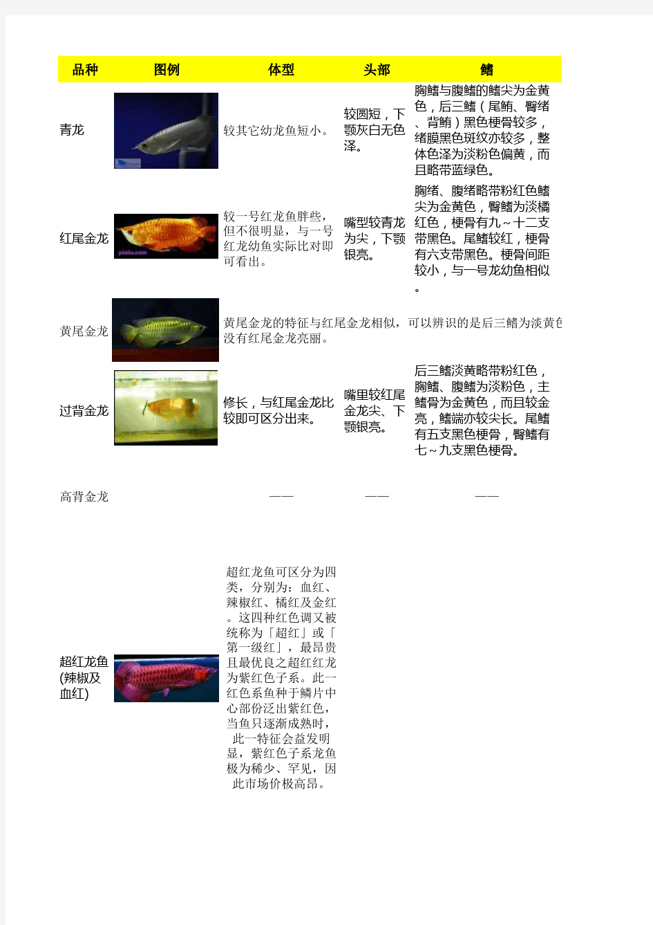 各种龙鱼对比