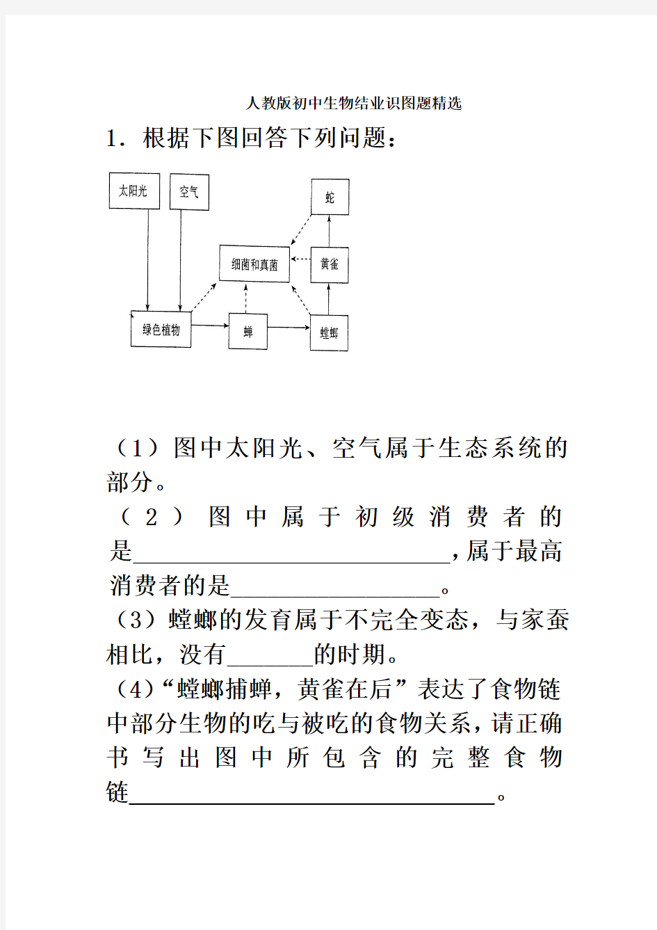 人教版初中生物识图专题(整理版) (1)