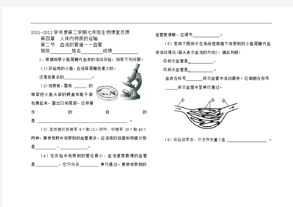 第二节血流的管道——血管练习题