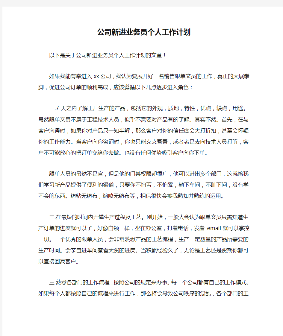 公司新进业务员个人工作计划