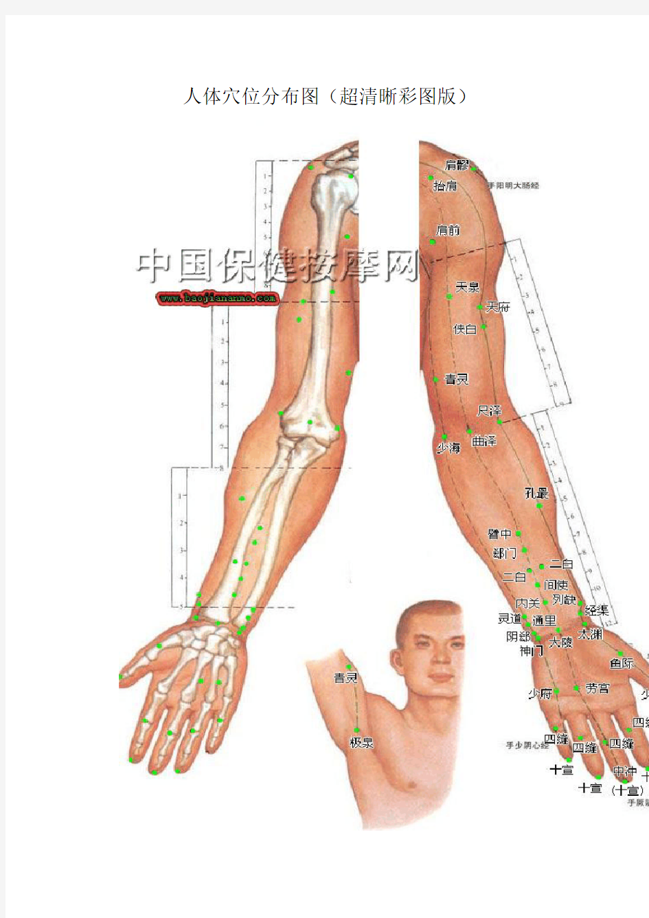 -人体穴位分布图(超清晰彩图版)