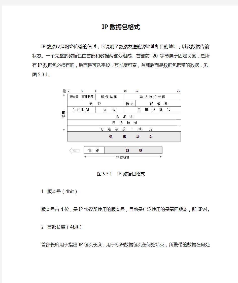 IP数据包格式简介