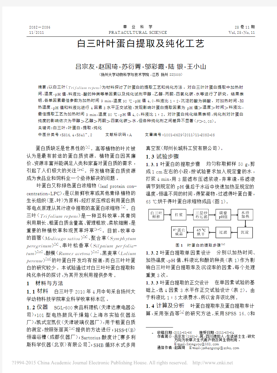 白三叶叶蛋白提取及纯化工艺_吕宗友