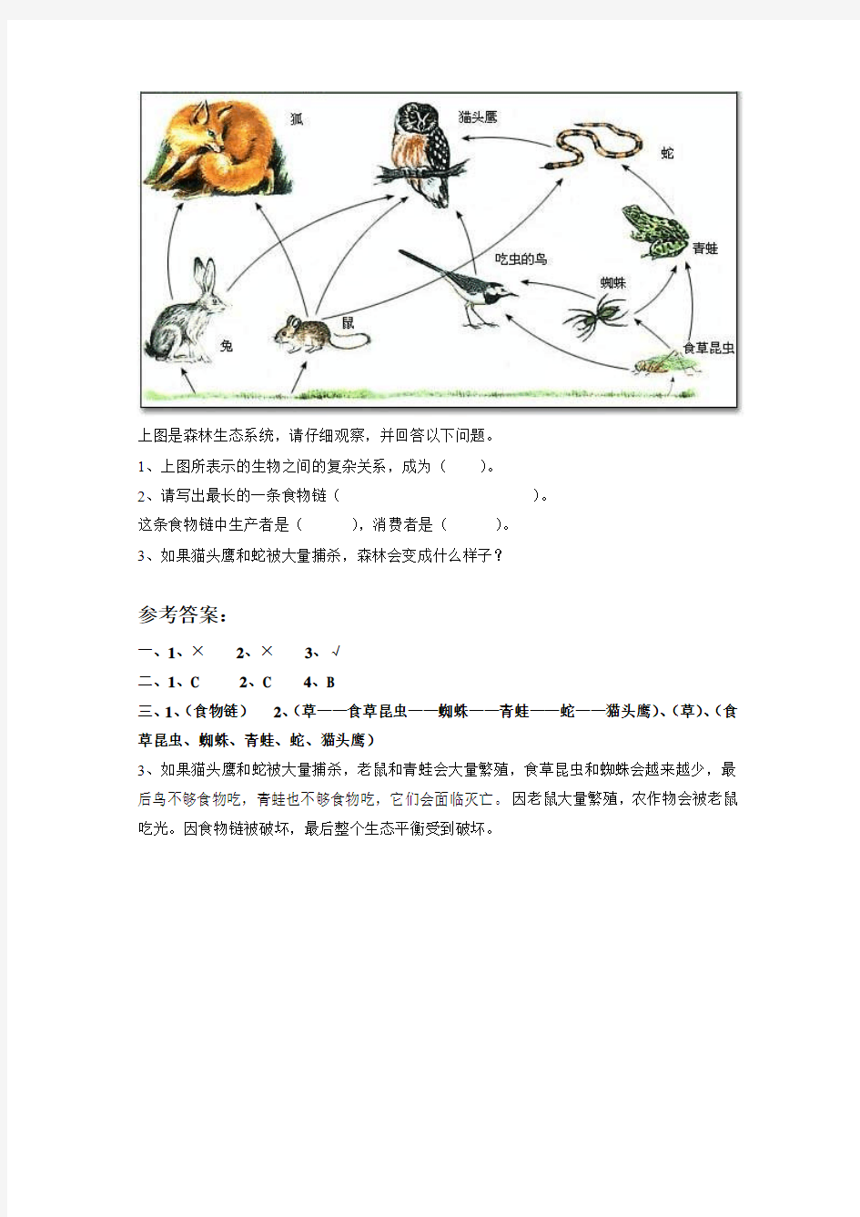 【精品】五年级上册科学一课一练-1.5 食物链和食物网 _教科版(含答案) (1)