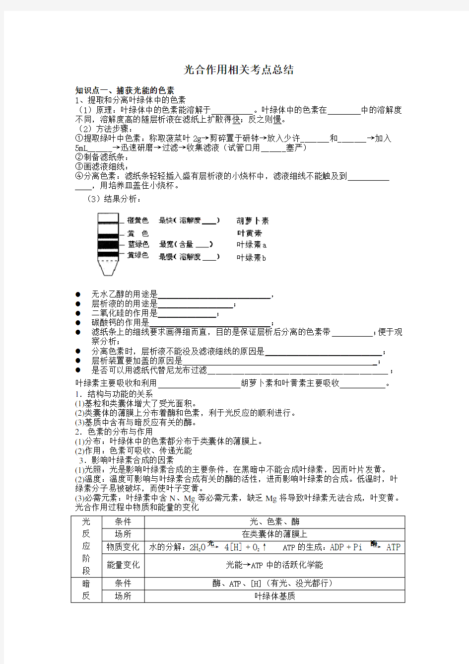 光合作用知识点归纳总结学习资料