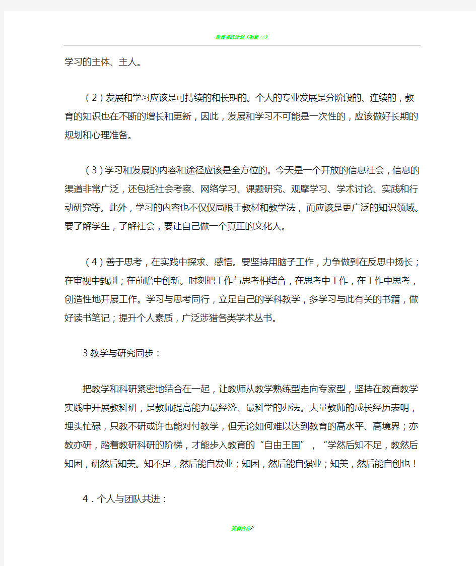 骨干教师个人专业发展计划