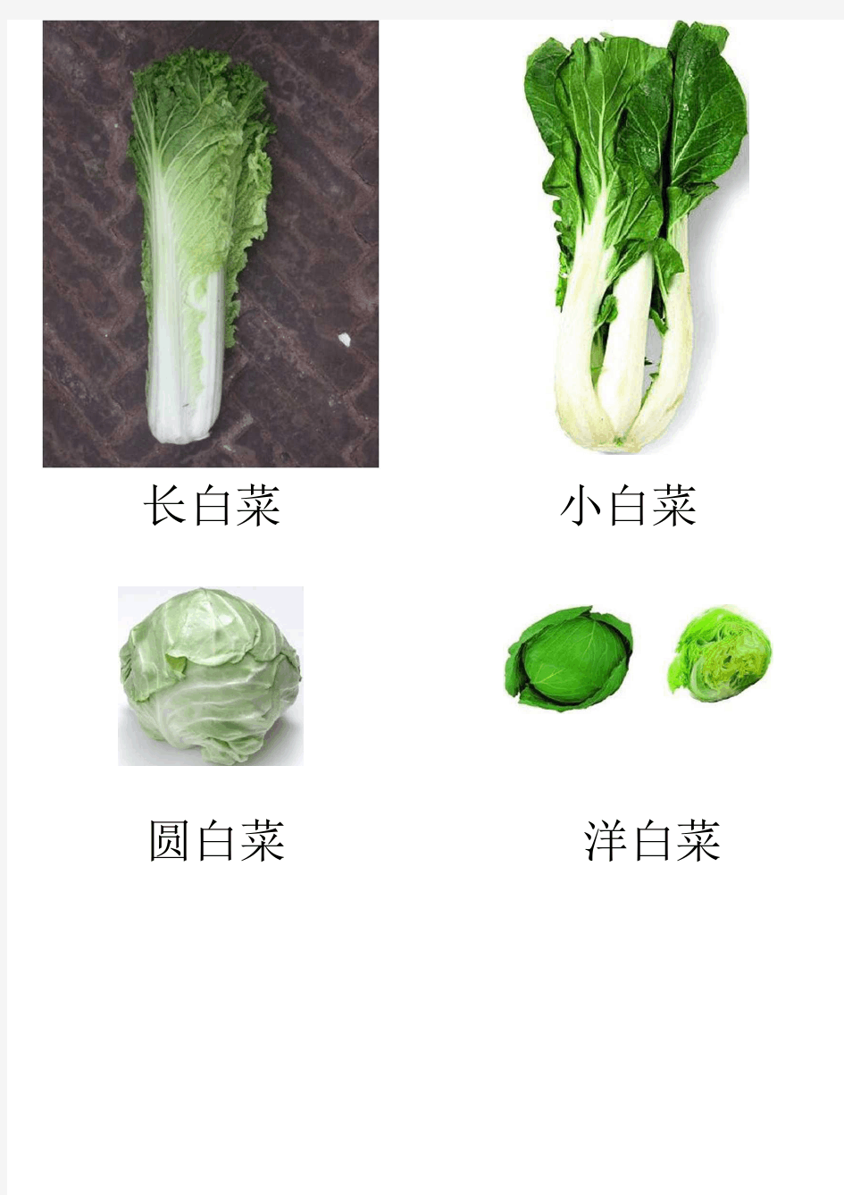 蔬菜图片大全