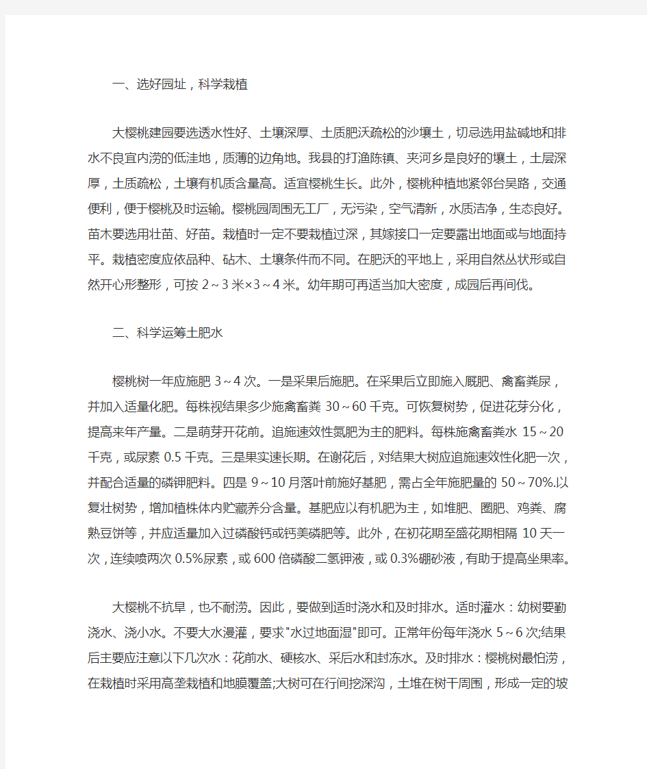 大樱桃的栽培管理技术